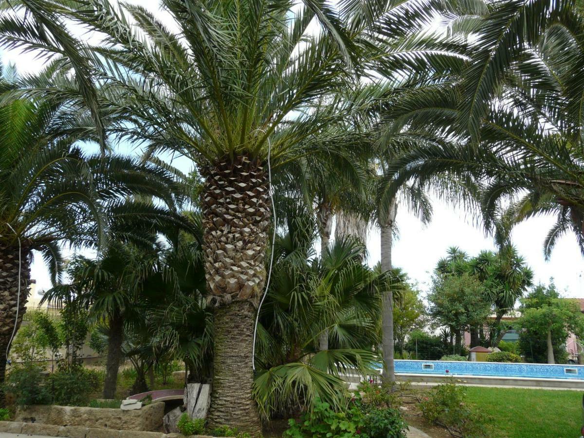 Villa Yucca Авола Екстер'єр фото