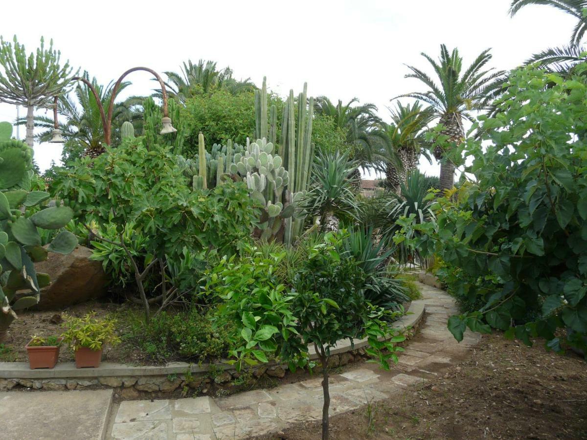 Villa Yucca Авола Екстер'єр фото