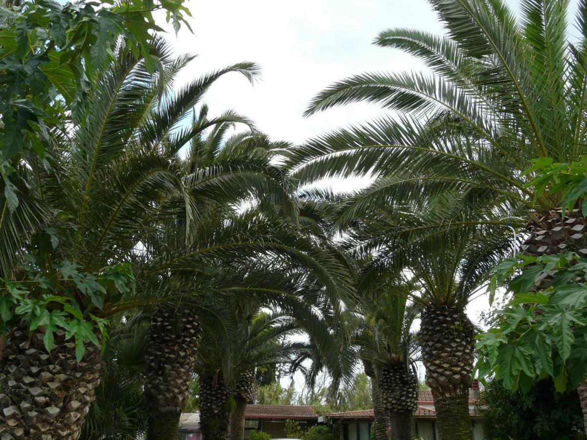 Villa Yucca Авола Екстер'єр фото