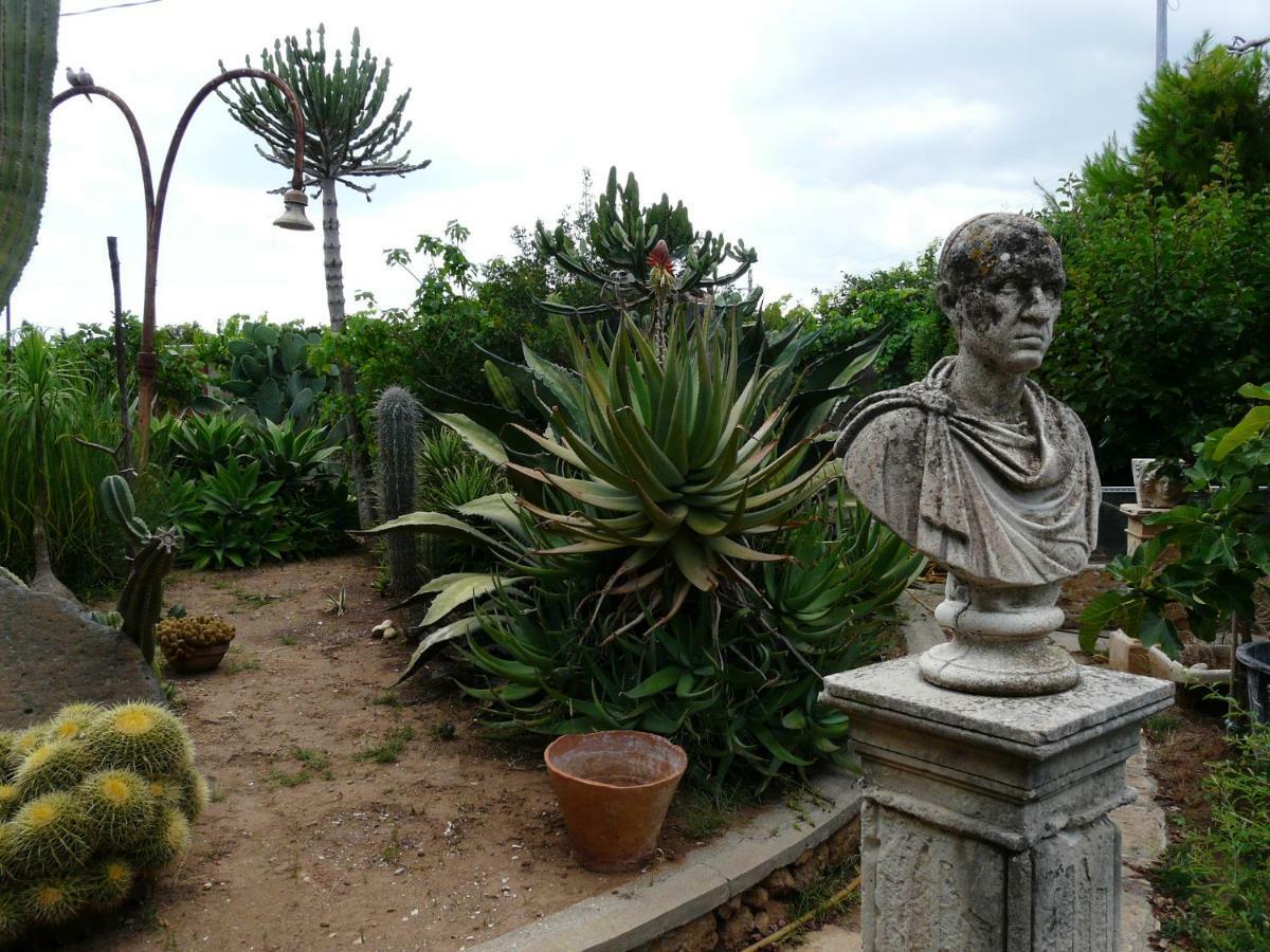 Villa Yucca Авола Екстер'єр фото