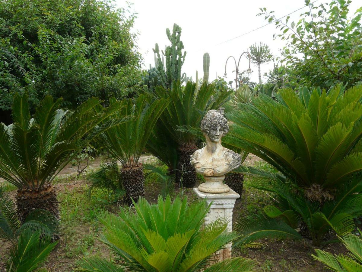 Villa Yucca Авола Екстер'єр фото