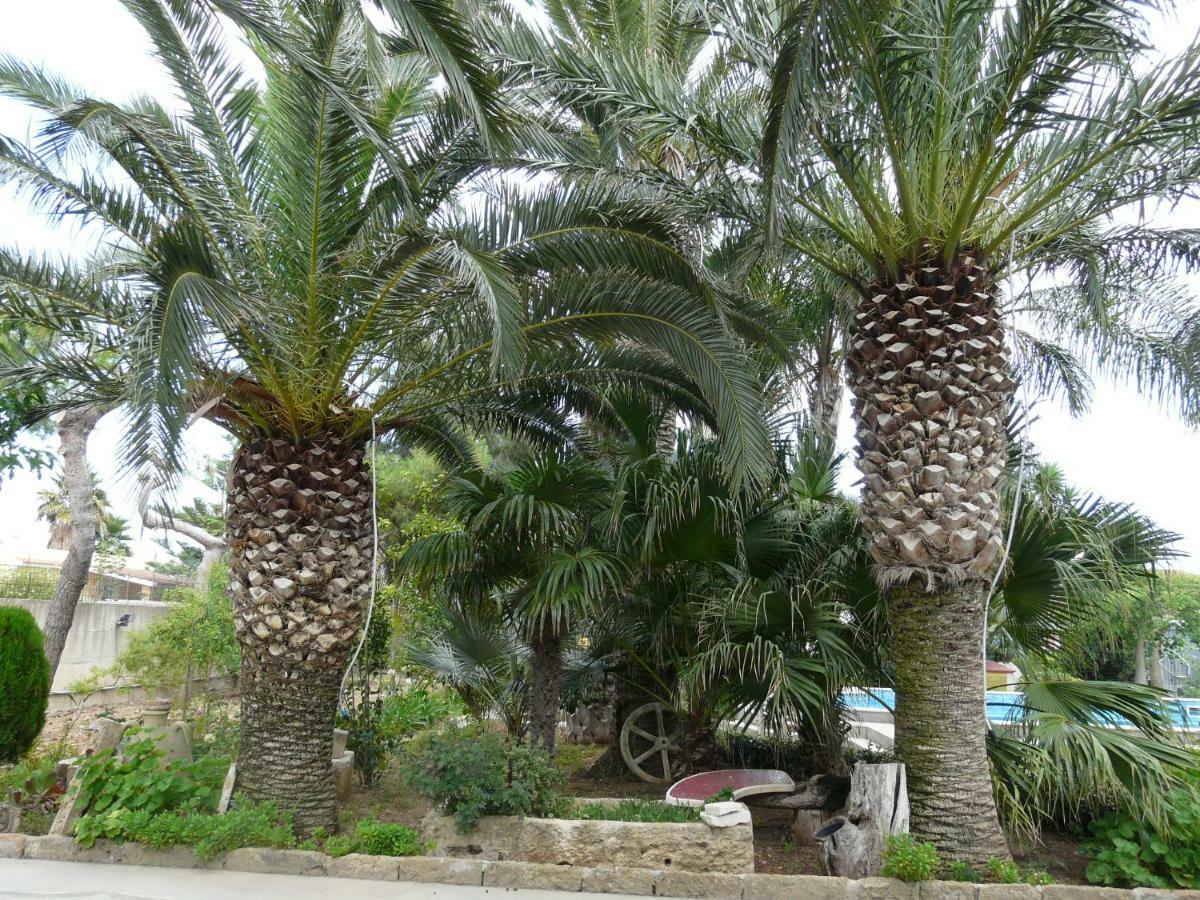 Villa Yucca Авола Екстер'єр фото