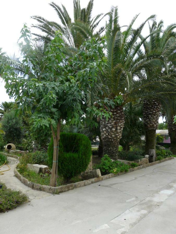 Villa Yucca Авола Екстер'єр фото