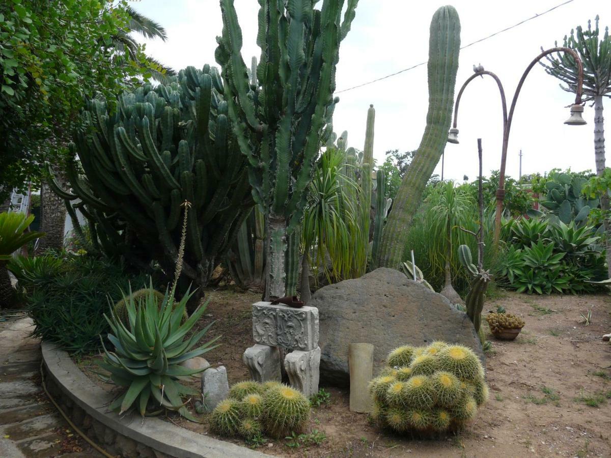 Villa Yucca Авола Екстер'єр фото